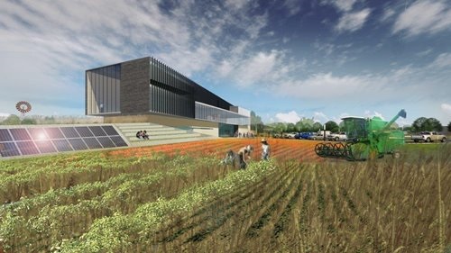 American Royal Rendering