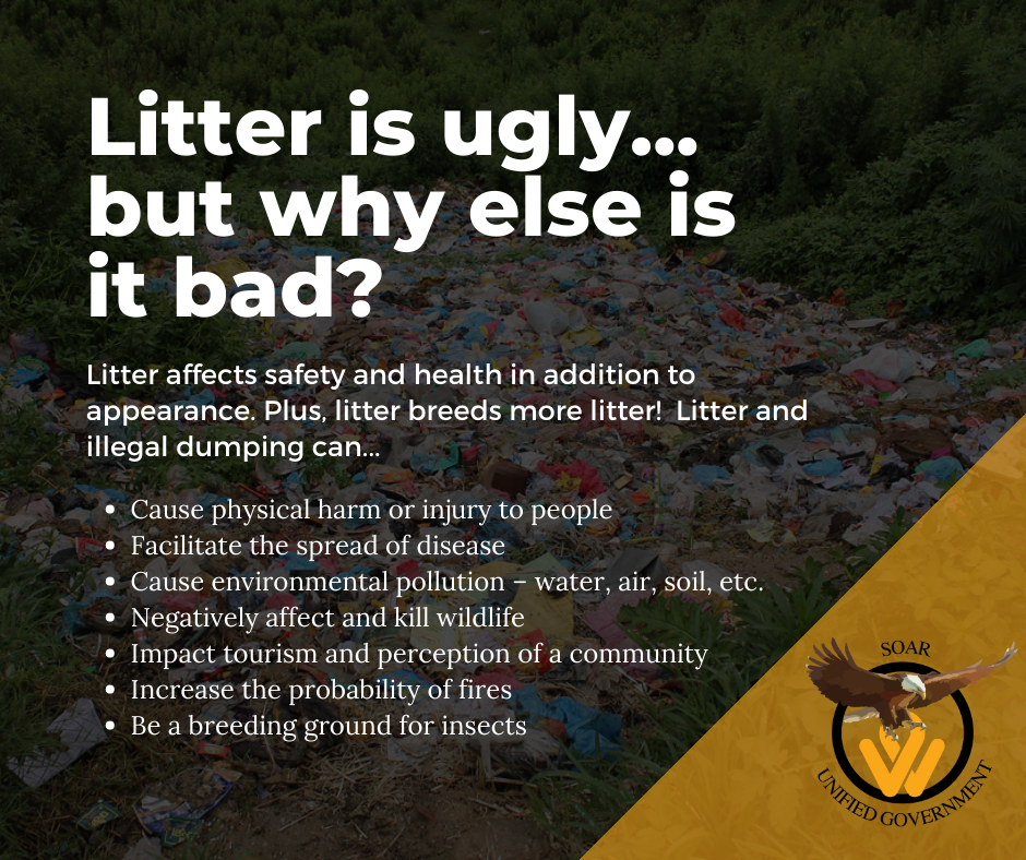 Litter is ugly... but why else is it bad?