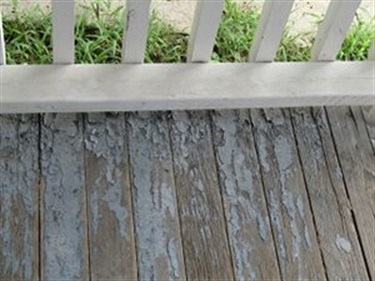 Old Paint on a Porch