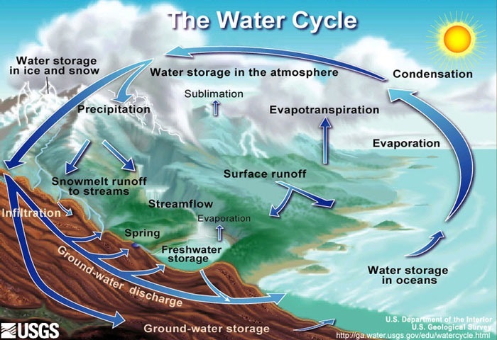 A graphic depicting the water cycle