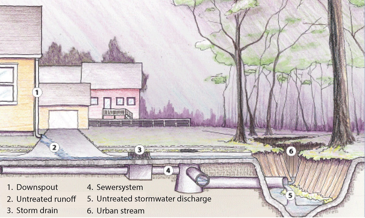 Urban Watershed