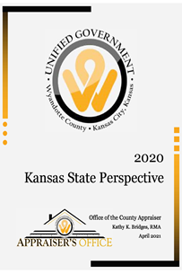 Download 2020 State Perspective