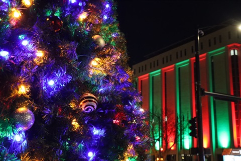 Christmas Tree with Green & Red lit up City Hall