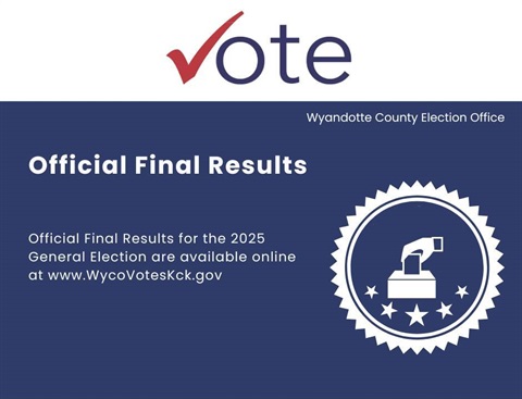 Official General Election Voting Graphic 2025