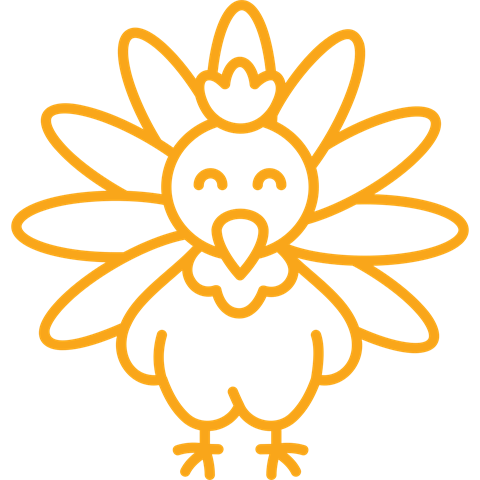 Turkey Icon