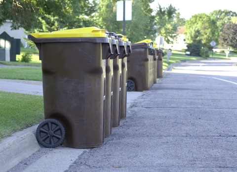 Garbage_Cans_By_The_Curb.jpg