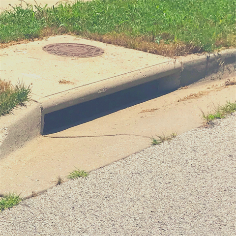 Photograph of a storm sewer drain that moves water away from streets