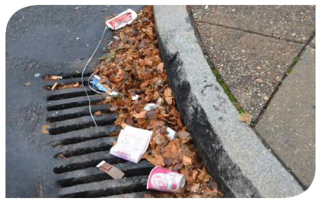 Stormwater-Litter-Trash.png