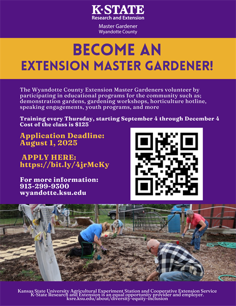 EMG App Flyer 2025