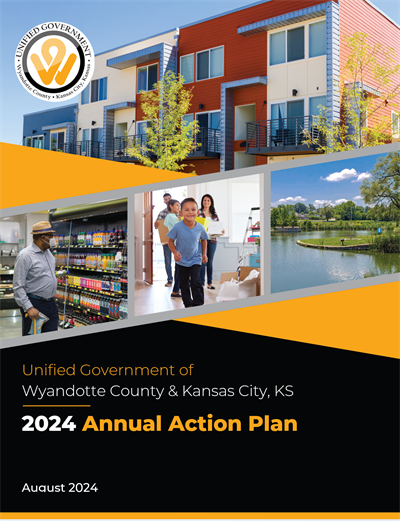 AAP 2024 Graphic