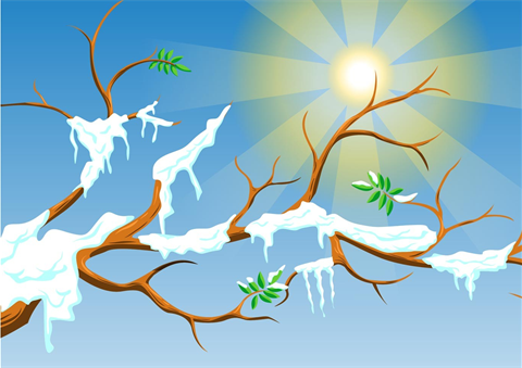 Snow Melting Graphic  2024