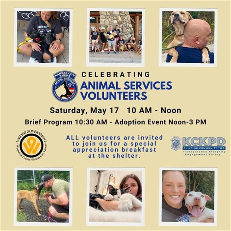 Animal Services 2025 Flyer