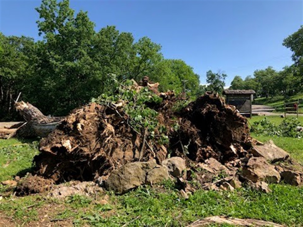 Storm Photo 2 - May 2024